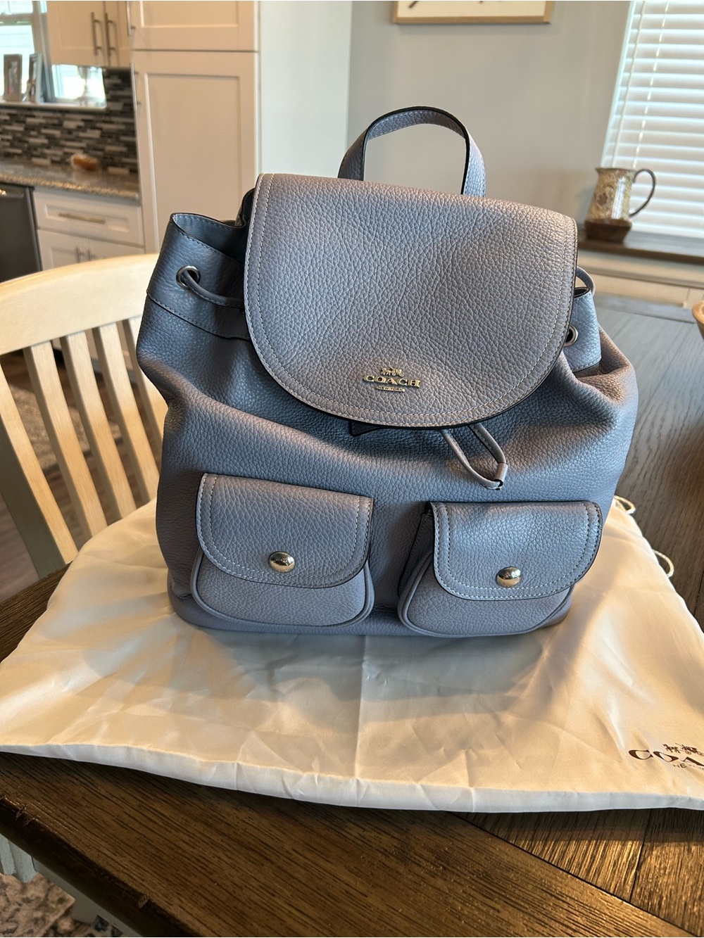 Coach Pebbled Leather Backpack in Light Blue